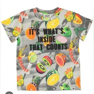 Molo Kids Graphic Raymond Karate Fruit Tee - Gray and Multicolor